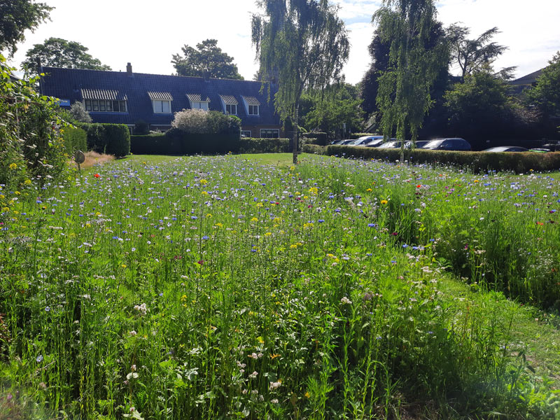 Meer bloemen door zelfbeheer in Laren?